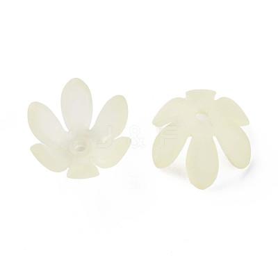 Transparent Acrylic Beads MACR-S373-47-D03-1