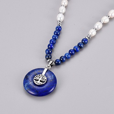 Natural Labradorite Pendant Necklace NJEW-E145-B10-1