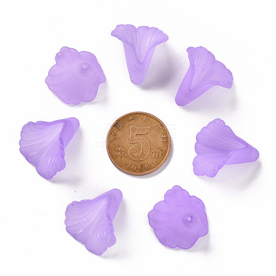 Transparent Acrylic Bead Caps PL551-C08-1