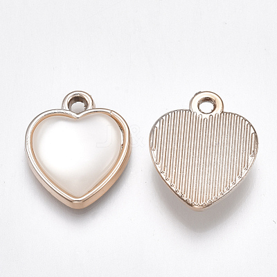 UV Plating Acrylic Pendants X-OACR-T005-65KC-1