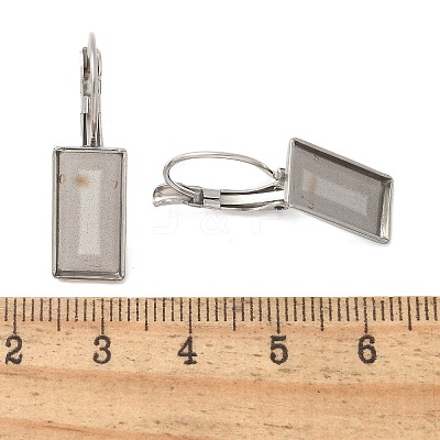 304 Stainless Steel Leverback Earring Finding STAS-C117-12B-P-1