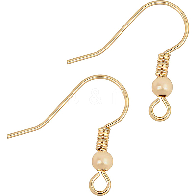 Brass Earring Hooks KK-BC0005-08G-1