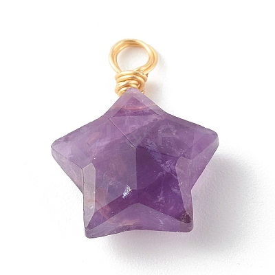 Natural Mixed Gemstone Charms PALLOY-JF00748-1