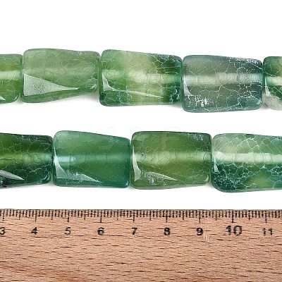 Natural Weathered Agate Beads Strands G-Q606-42E-1