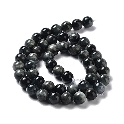 Natura Hawk's Eye Beads Strands G-D0001-22B-8mm-01-1