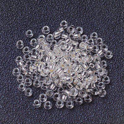 FGB 12/0 Grade A Transparent Silver Lined Round Glass Seed Beads X-SEED-A022-F12-34-1