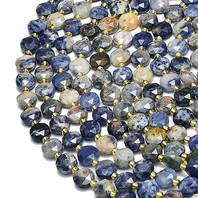 Natural Sodalite Beads Strands G-C116-A80-02-1