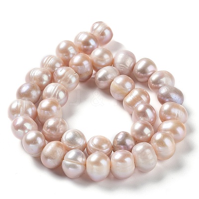 Natural Cultured Freshwater Pearl Beads Strands PEAR-E019-16-1