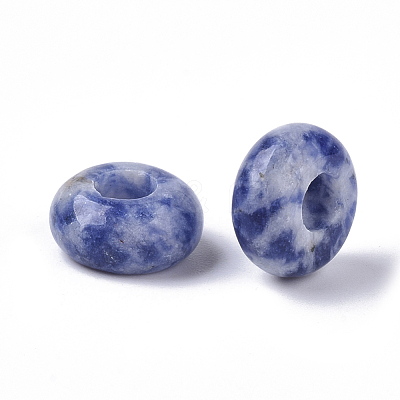 Natural Blue Spot Jasper European Beads G-Q503-09-1