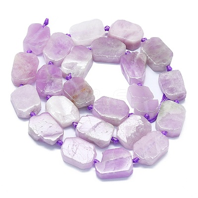 Natural Kunzite Beads Strands G-K245-J06-01-1