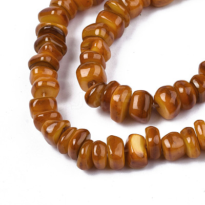 Natural Trochid Shell/Trochus Shell Beads Strands SHEL-S258-081-B09-1