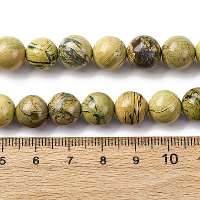 Natural Verdite Stone Beads Strands G-C242-03-10mm-1
