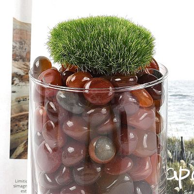 Dyed & Heated Natural Agate Beads G-J402-02A-01-1