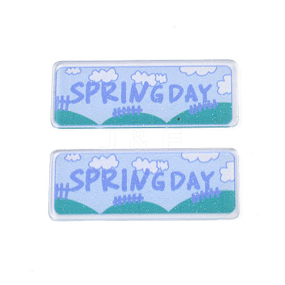 Transparent Printed Acrylic Cabochons TACR-N016-23-1