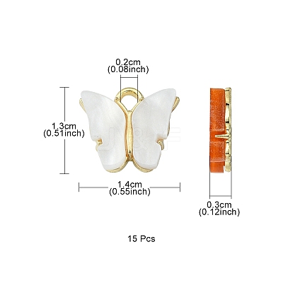 15Pcs Acrylic Charms MACR-YW0002-12KCG-1