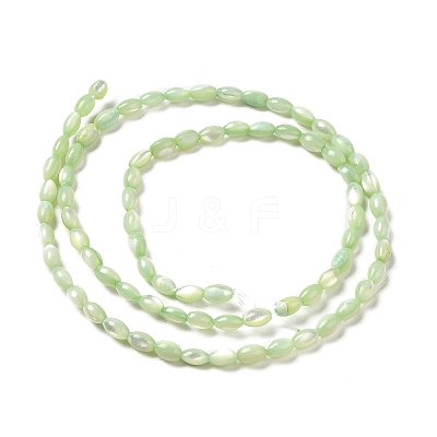 Natural Trochus Shell Beads Strands SHEL-K006-19E-1