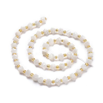 Natural White Moonstone Beads Strands G-P463-16-1
