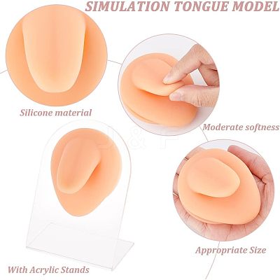 Soft Silicone Tongue Flexible Model Body Part Displays with Acrylic Stands ODIS-WH0002-23-1