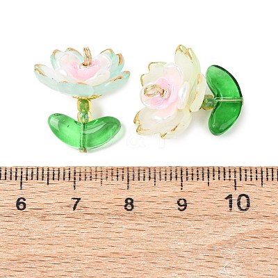 Transparent Acrylic Pendants PALLOY-MZ00823-05-1