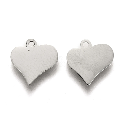 Tarnish Resistant 304 Stainless Steel Charms STAS-I151-40P-1