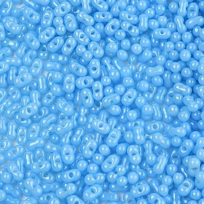 Baking Paint Glass Seed Beads SEED-L011-09A-06-1