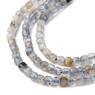 Natural Labradorite Beads Strands G-RM2025-C13-B-1