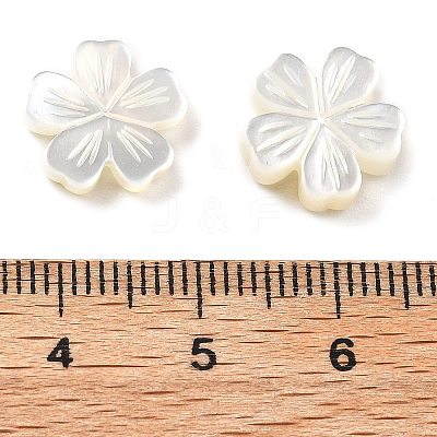 Natural White Shell Carved Beads SSHEL-Z002-02A-1