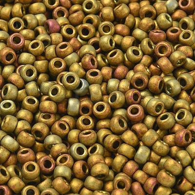 TOHO 6/0 Round Beads SEED-XTR06-0513F-1