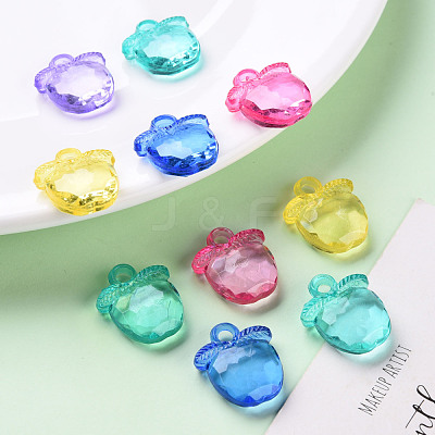 Transparent Acrylic Pendants TACR-S154-28B-1