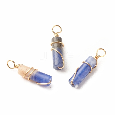 Natural Sodalite Pendants PALLOY-JF01453-03-1