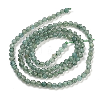 Natural Green Apatite Beads Strands G-G105-A01-02-1