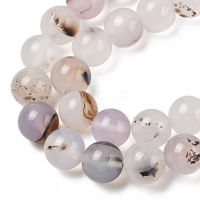Natural Dendritic Agate Beads Strands G-A248-A07-04-1