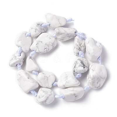 Natural Howlite Beads Strands G-B024-07-1