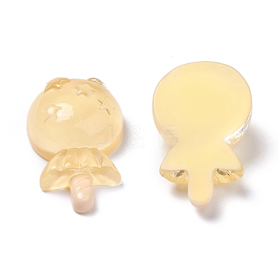Resin Cabochons LS-CRES-J045-10A-1