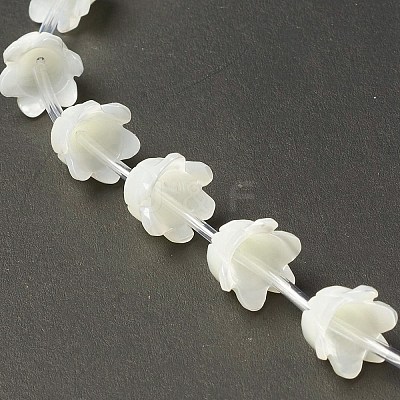 Natural Trochid Shell/Trochus Shell Bead Caps BSHE-B005-03-1