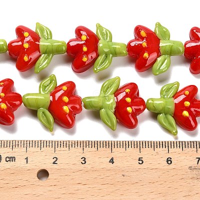 Handmade Lampwork Beads Strands LAMP-A005-03F-1