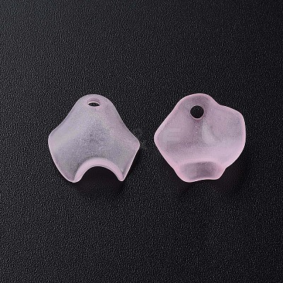 Transparent Acrylic Beads MACR-S373-106-D05-1