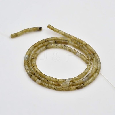 Column Natural Labradorite Beads Strands G-N0153-43-1