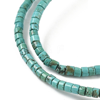 Dyed Natural Magnesite Beads Strands G-M448-C01-01-1