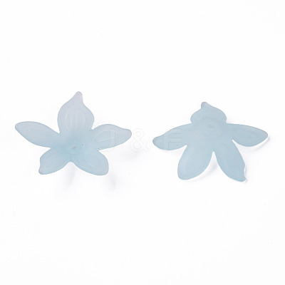 Transparent Acrylic Beads MACR-S373-127-D02-1