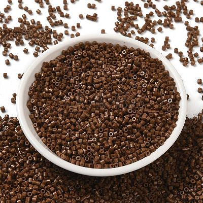 Baking Paint Glass Seed Beads X-SEED-S042-05B-43-1