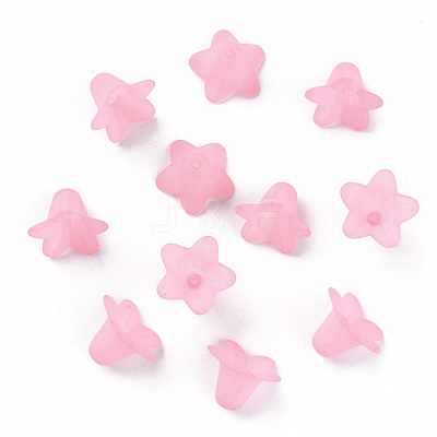 Transparent Acrylic Beads PLF018-02-1