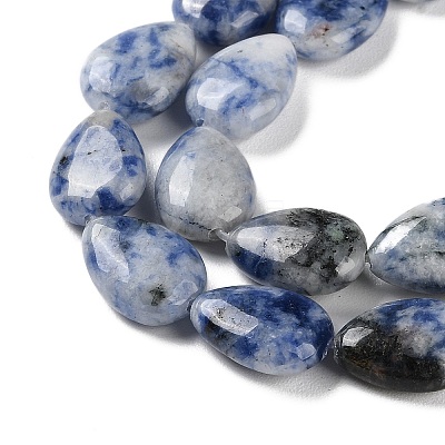 Natural Blue Spot Jasper Beads Strands G-K357-A06-01-1
