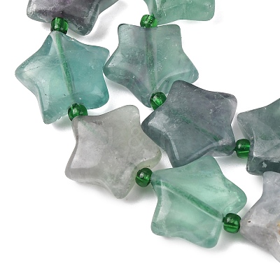 Natural Fluorite Beads Strands G-K359-E14-1