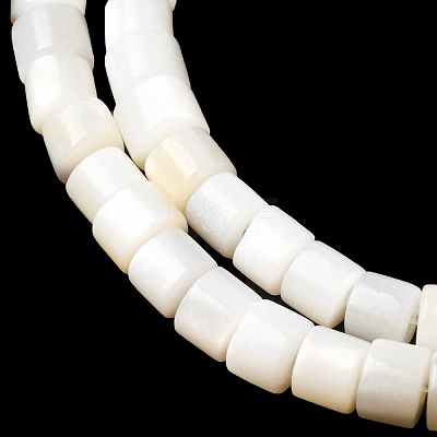 Natural Freshwater Shell Beads Strands SHEL-K006-07-1