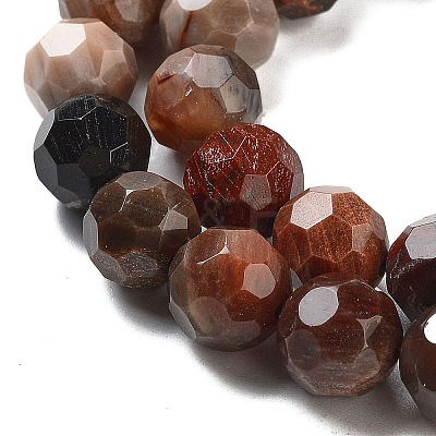 Natural Petrified Wood Beads Strands G-C150-B01-02-1