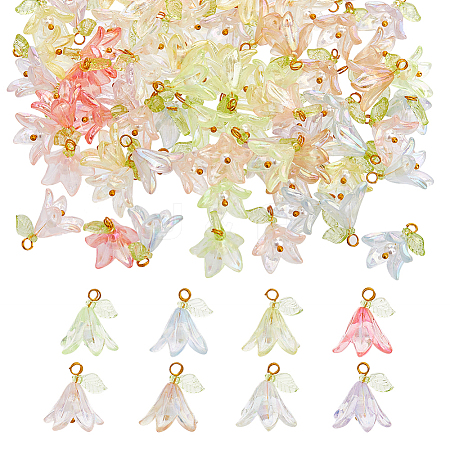 Acryli & Shell Pearl Pendants PALLOY-FH00052-1