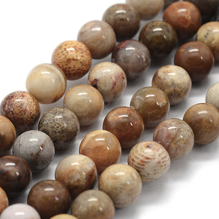 Natural Fossil Coral Beads Strands G-G763-12-14mm-1