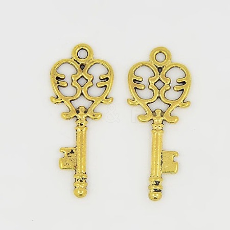 Tibetan Style Alloy Pendants GLF11137Y-NF-1
