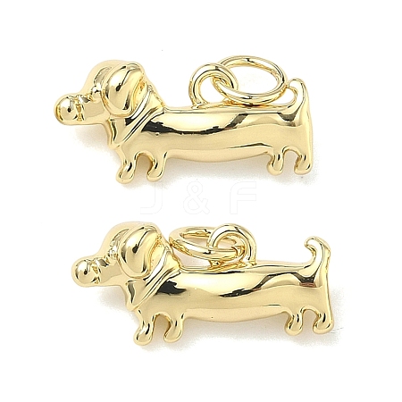 Brass Pendants LS-KK-G555-01G-02-1